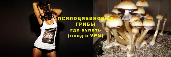 прущие крисы Краснотурьинск