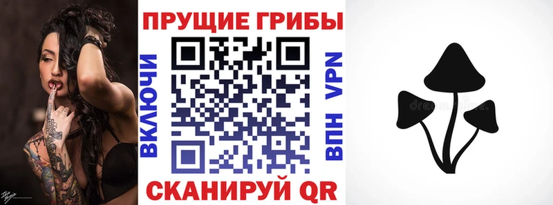 Галлюциногенные грибы Cubensis  Купить  Павлово 